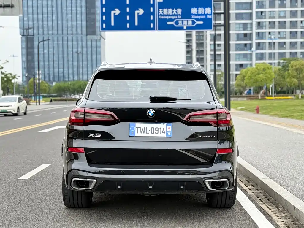 BMW X5 (Import) — миниатюра 12