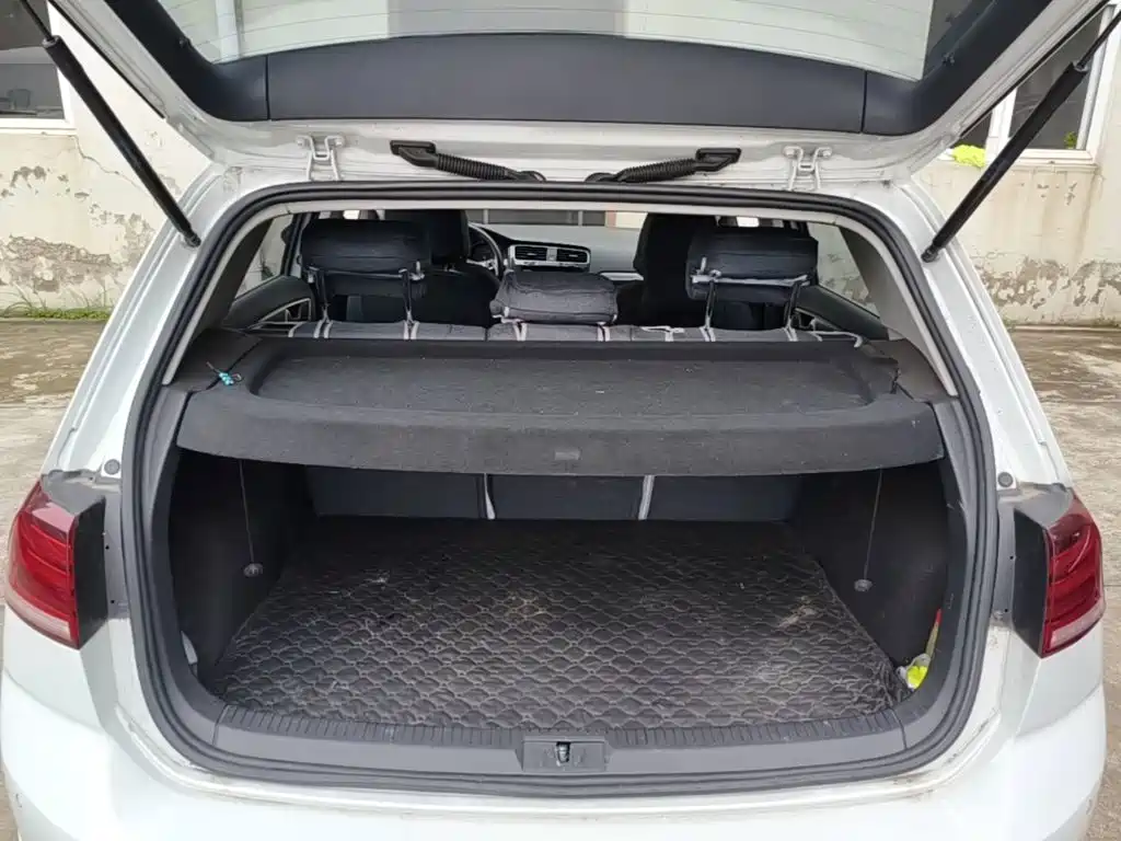 Volkswagen Golf — миниатюра 19