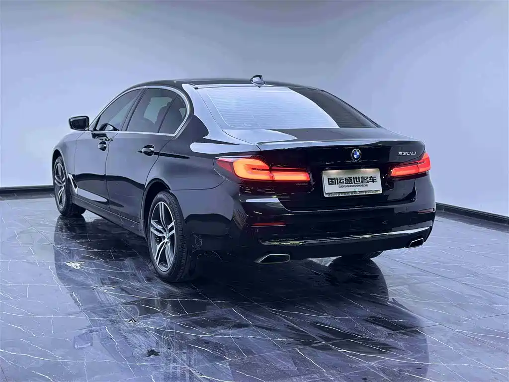 BMW 5 SERIES