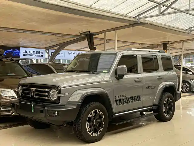 TANK TANK 300 NEW ENERGY 2024