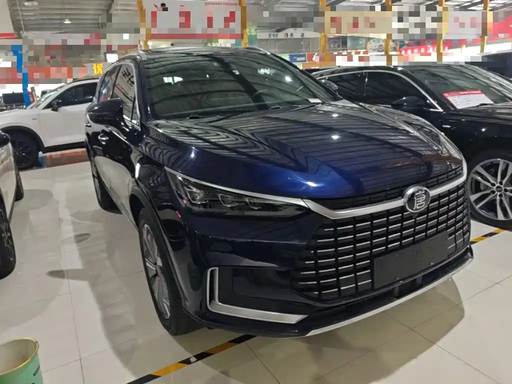 BYD Tang New Energy — миниатюра 4
