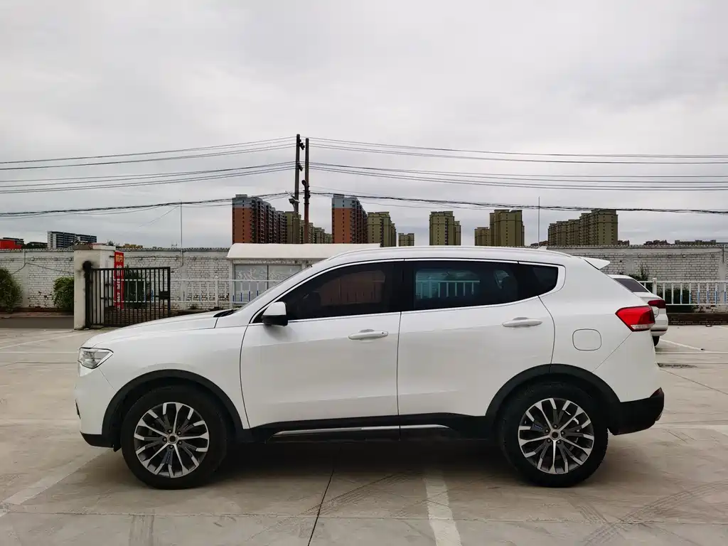 HAVAL  H6