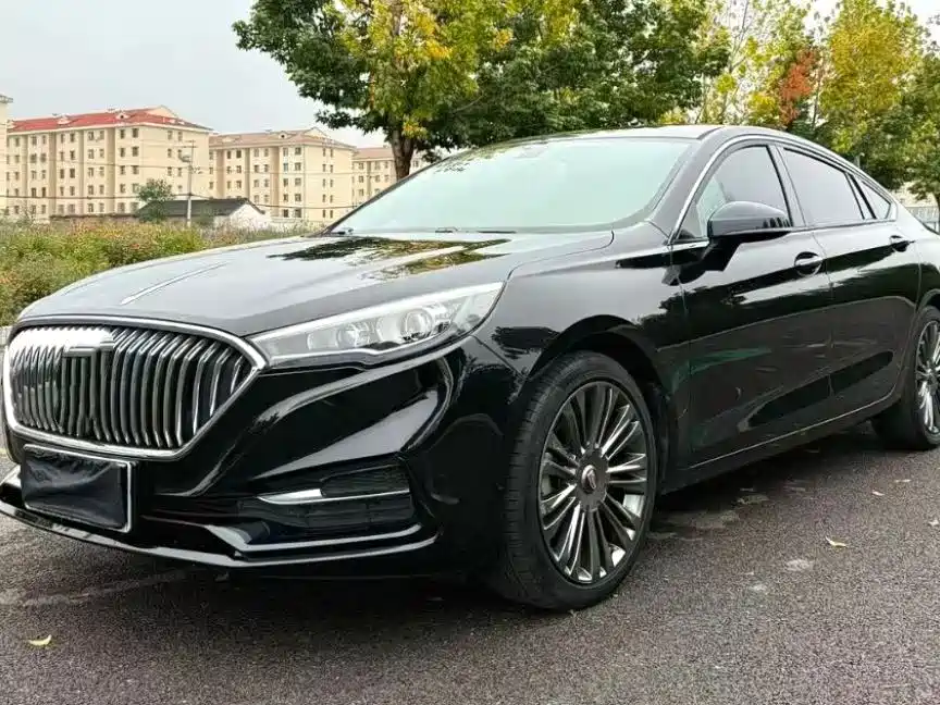Hongqi Hongqi H5 2020