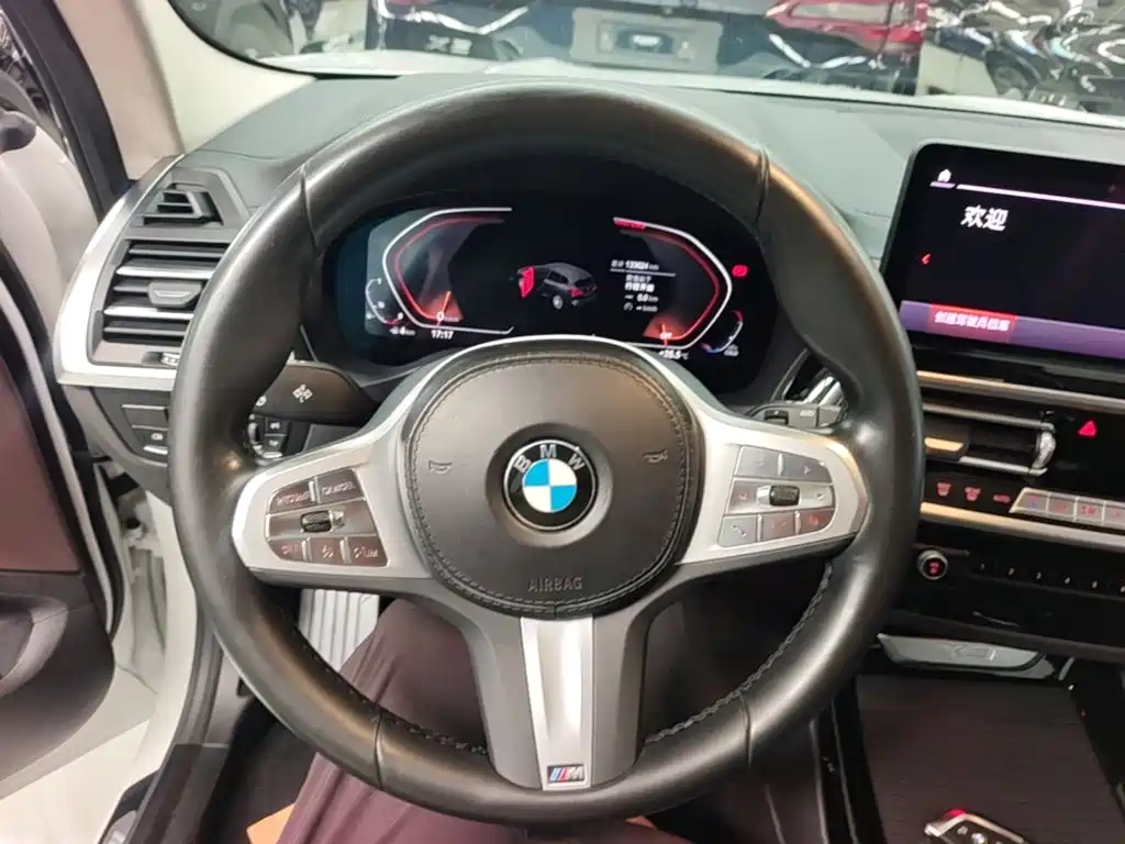 BMW X3 — миниатюра 11