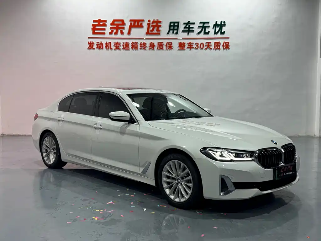 BMW 5 Series New Energy — миниатюра 3