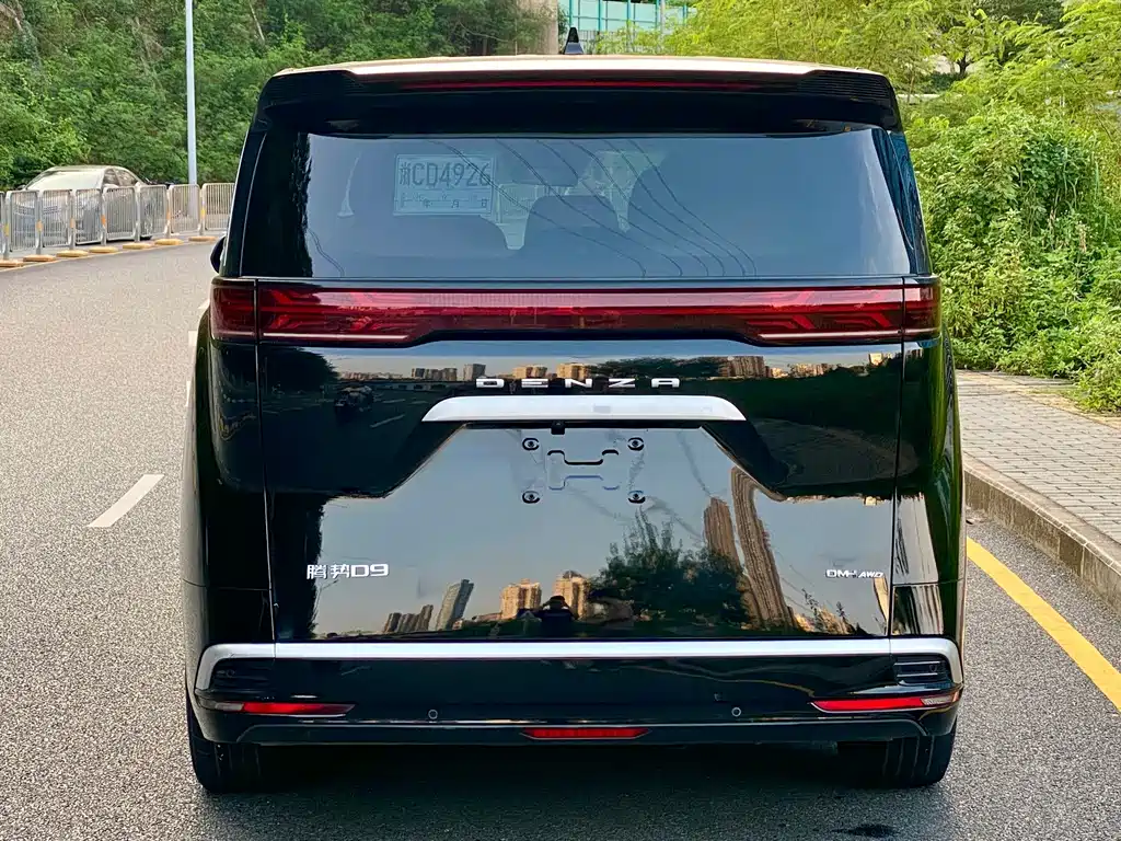 Denza Denza D9 — миниатюра 6