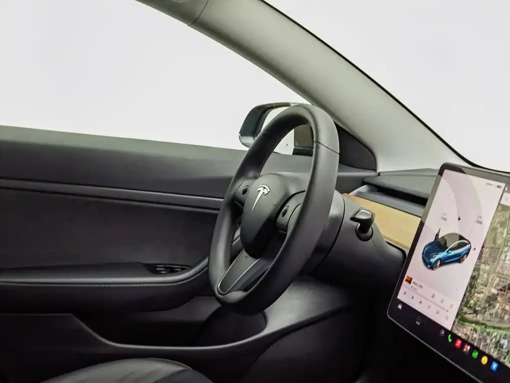 Tesla Model 3 — миниатюра 22