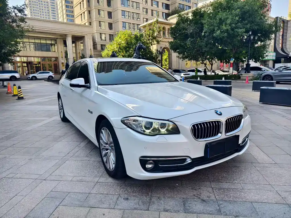 BMW 5 Series — миниатюра 3