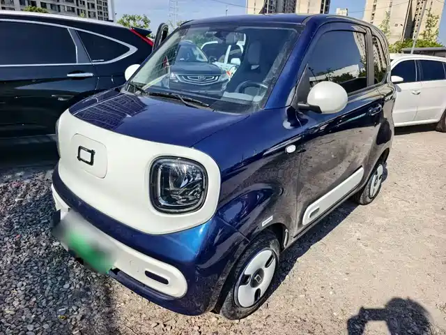 2024 Bestune Pony