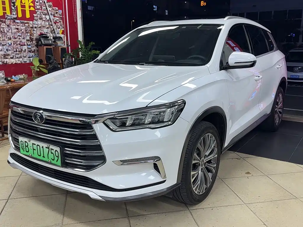 BYD Pro New Energy — миниатюра 2