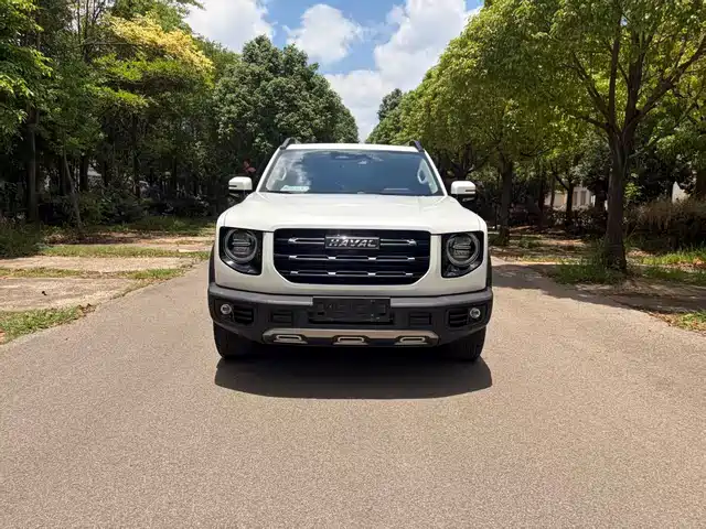 2022 Haval Big Dog