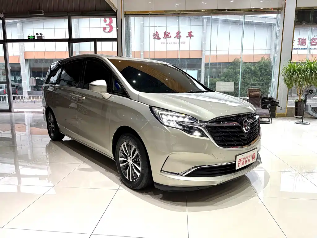 Buick GL8 — миниатюра 3