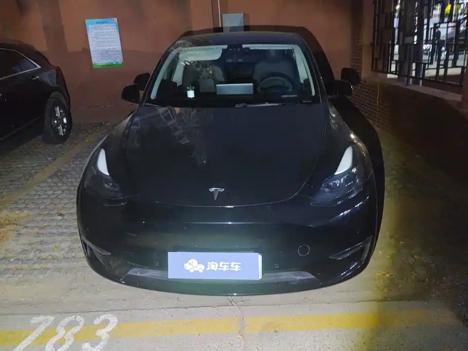 Tesla Model Y — миниатюра 2