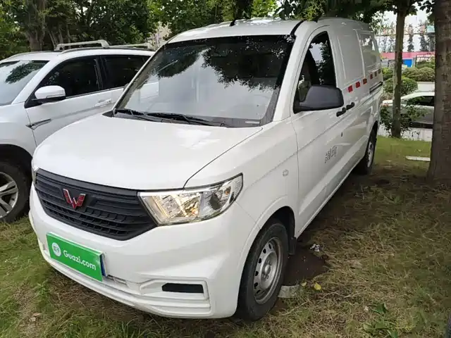 2024 Wuling Motors Hongguang