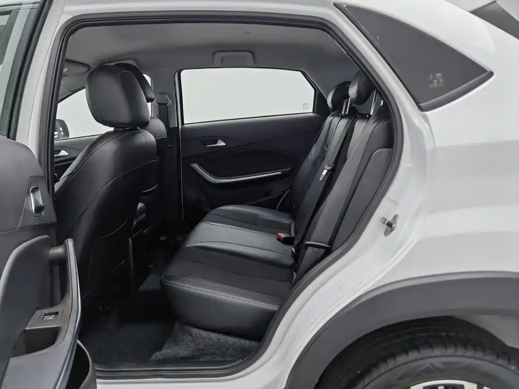 Chery Tiggo 3x — миниатюра 15