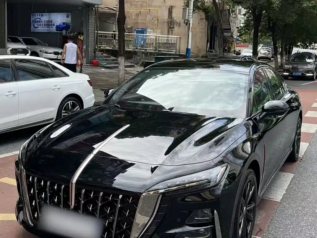 Hongqi Hongqi H6