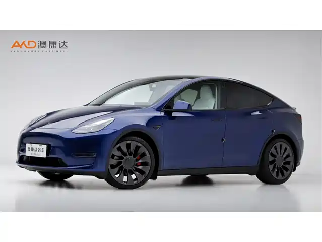 TESLA MODEL Y 2024