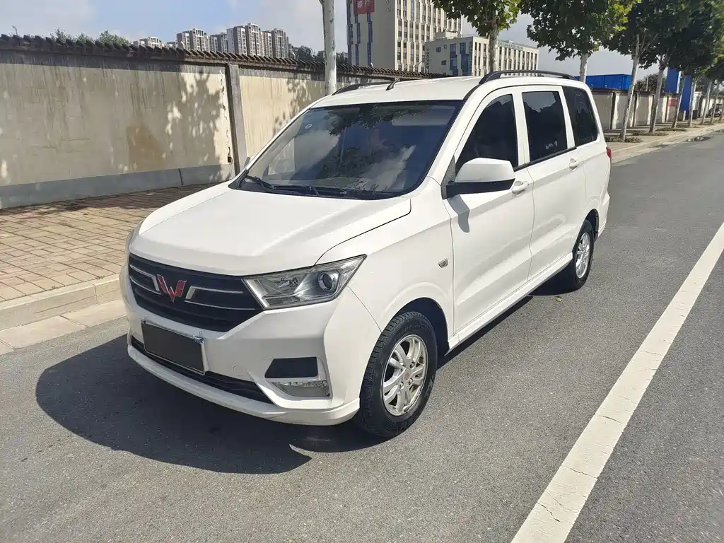 Wuling 2019 1.5L S VI LAR