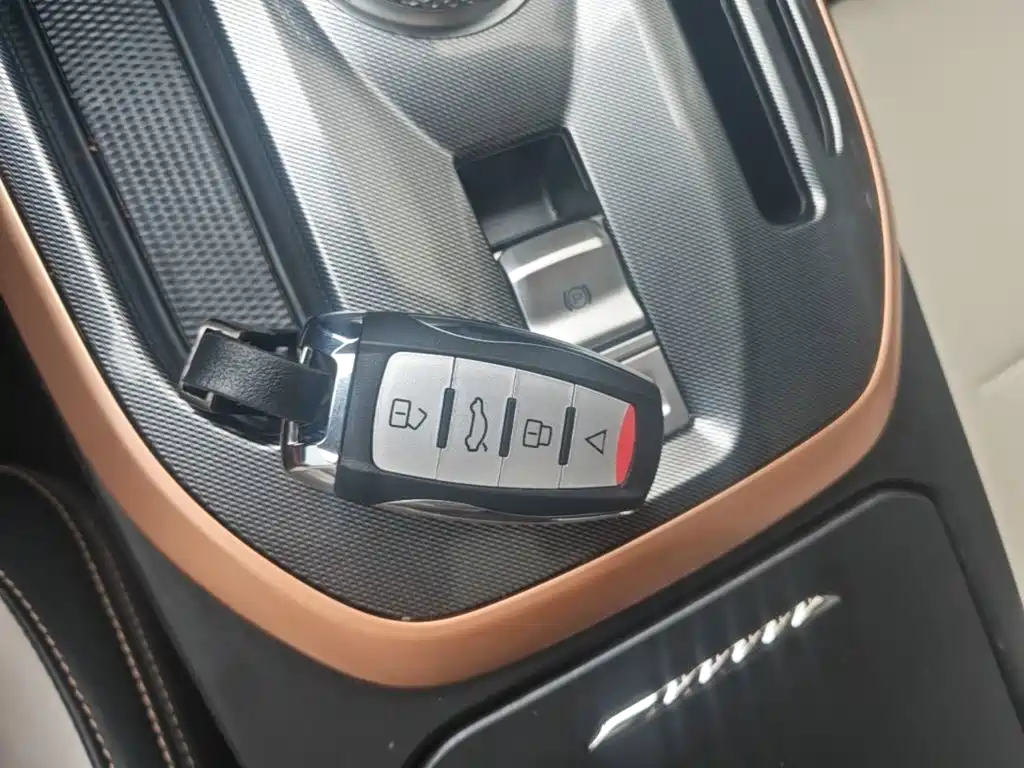 Haval Chulian — миниатюра 9