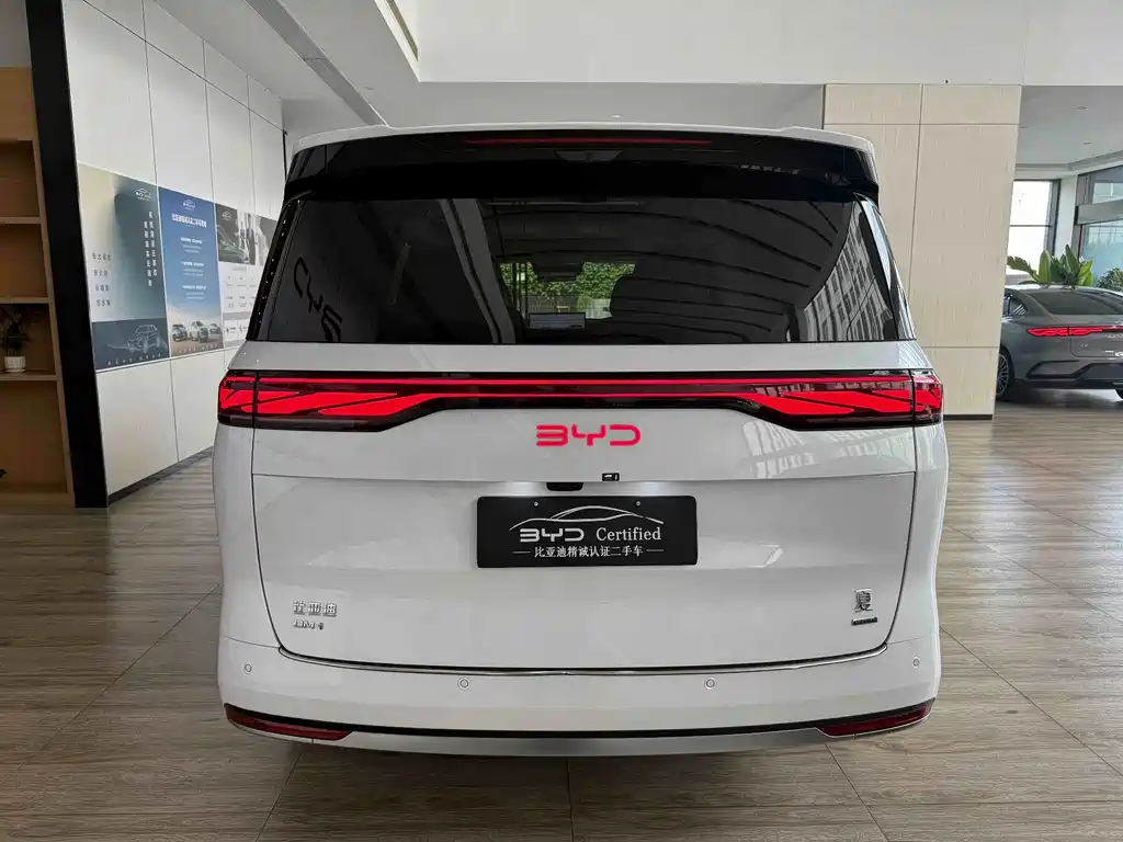 BYD Xia - фото 9