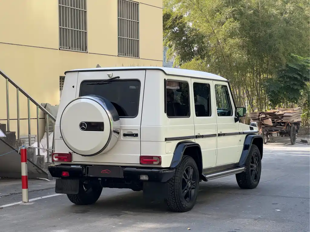 Mercedes-Benz G-Class G 2010 G 500
