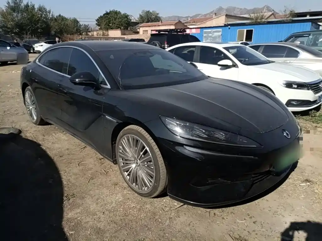 Denza Denza Z9 — миниатюра 4