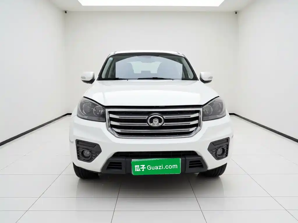 Great Wall Fengjun 5 — миниатюра 23
