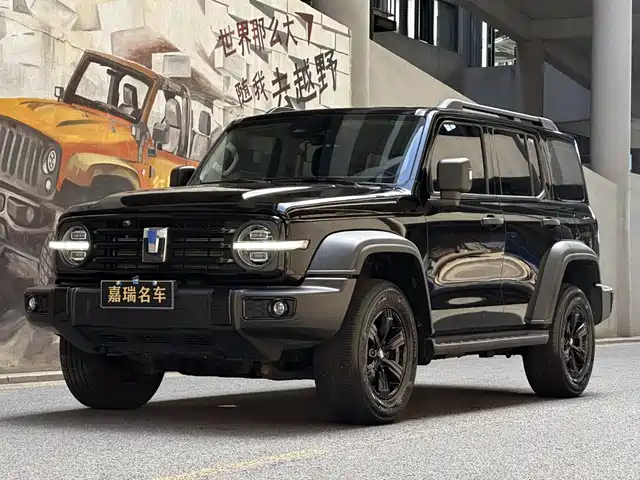 2024 TANK 300