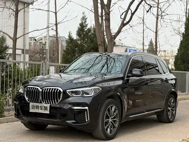 BMW X 5 2022 x Drive 30 Li M — фото 1