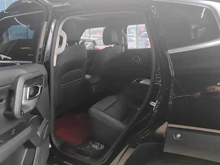Haval Big Dog PLUS — миниатюра 11