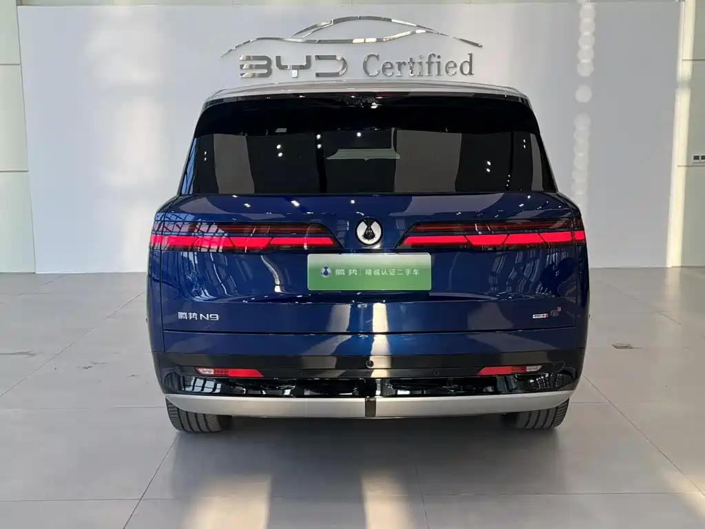 Denza Denza N9 — миниатюра 5