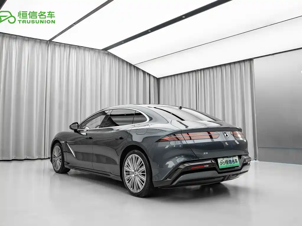 Denza Denza Z9 — миниатюра 6