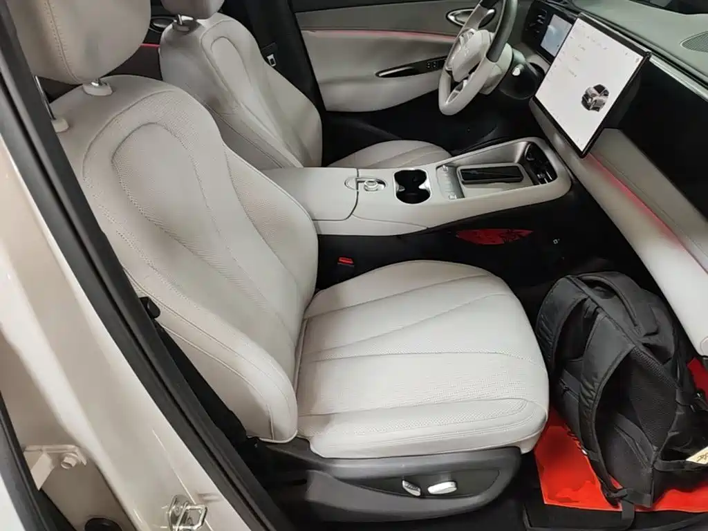 BYD Sealion 06 — миниатюра 25