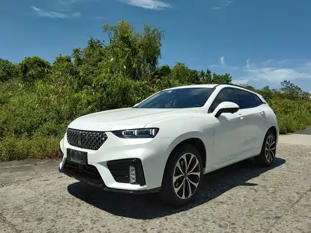2020 Wey VV7