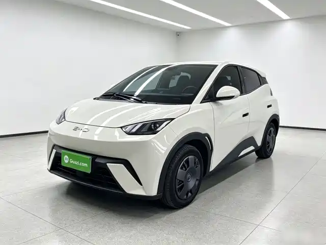 2024 BYD Seagull
