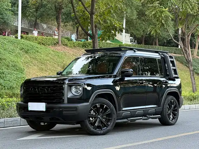 HAVAL RAPTORS NEW ENERGY 2024