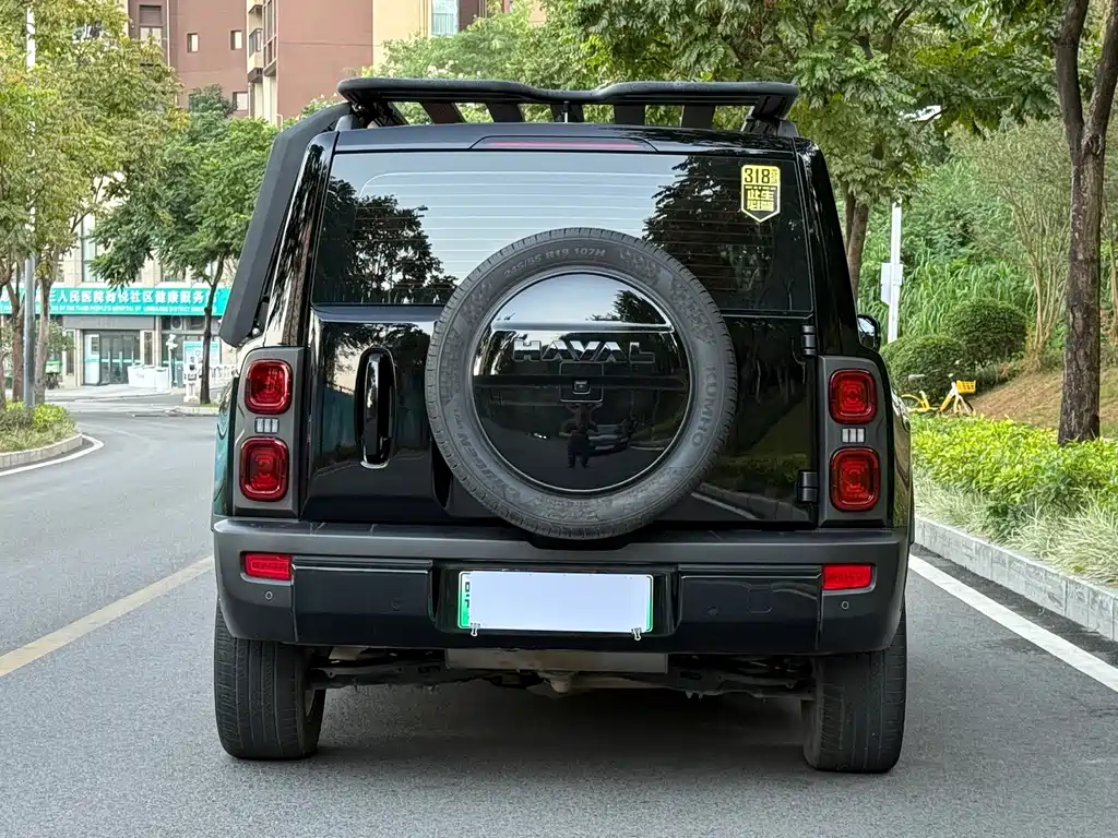 HAVAL RAPTORS NEW ENERGY