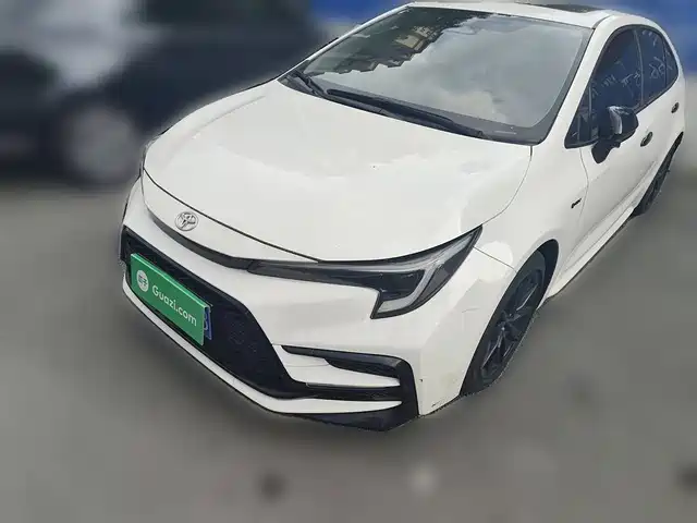 TOYOTA LEI LING 2024