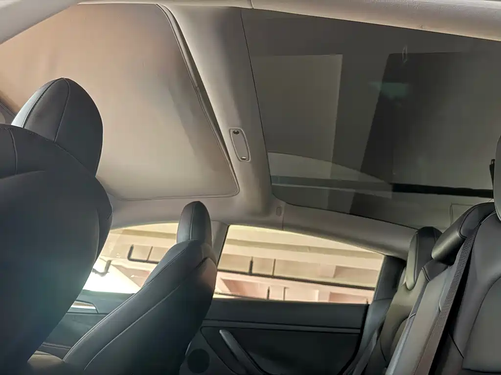 Tesla Model 3 2022 Performance
