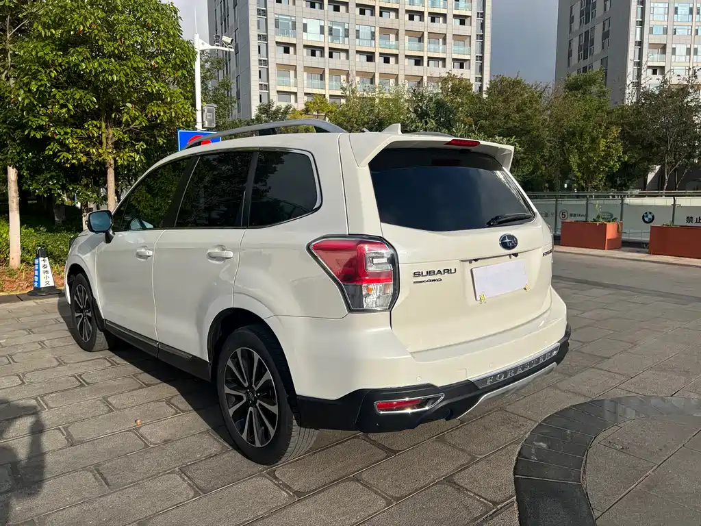 Subaru Forester — миниатюра 11