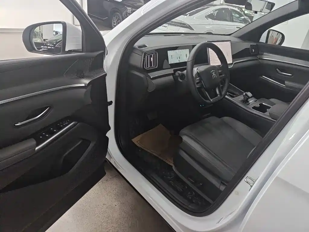 BYD Pro New Energy — миниатюра 16