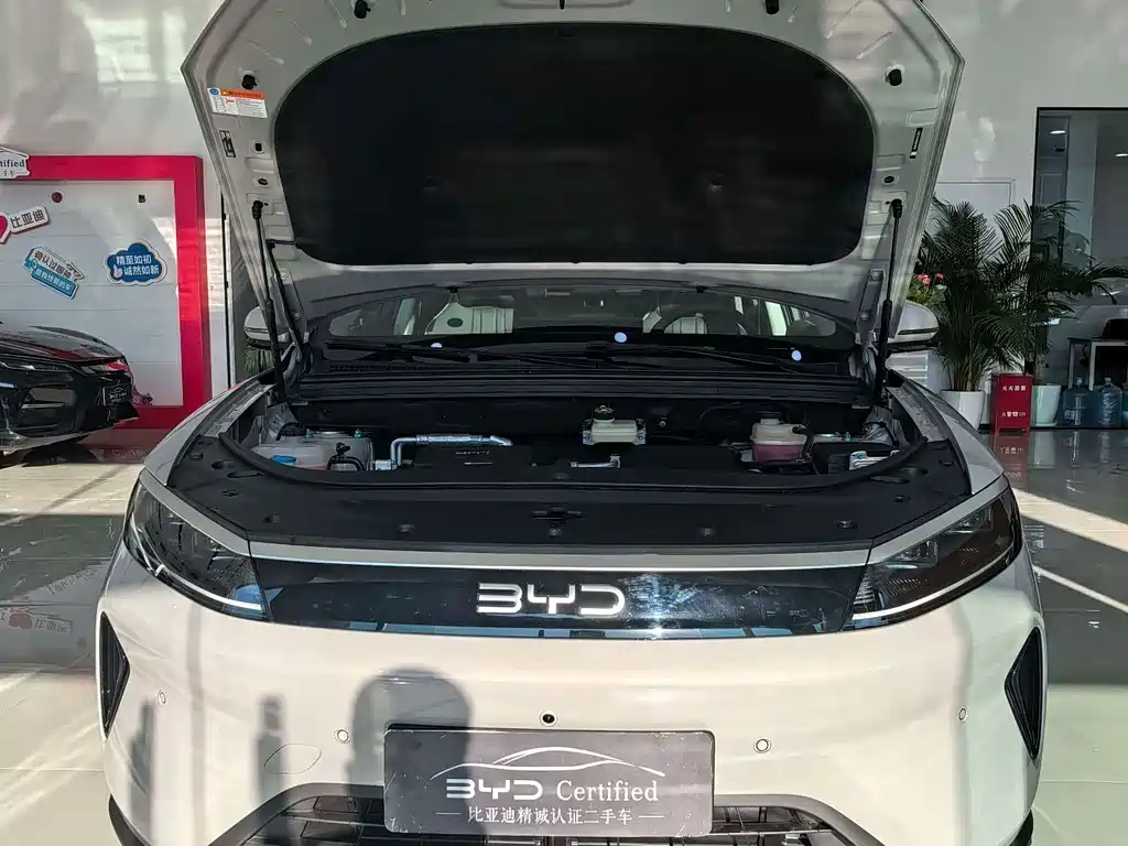 BYD SEA LION 05 DM I