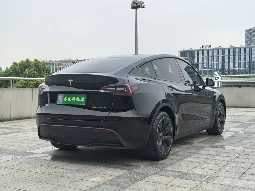 Tesla Model Y — миниатюра 14