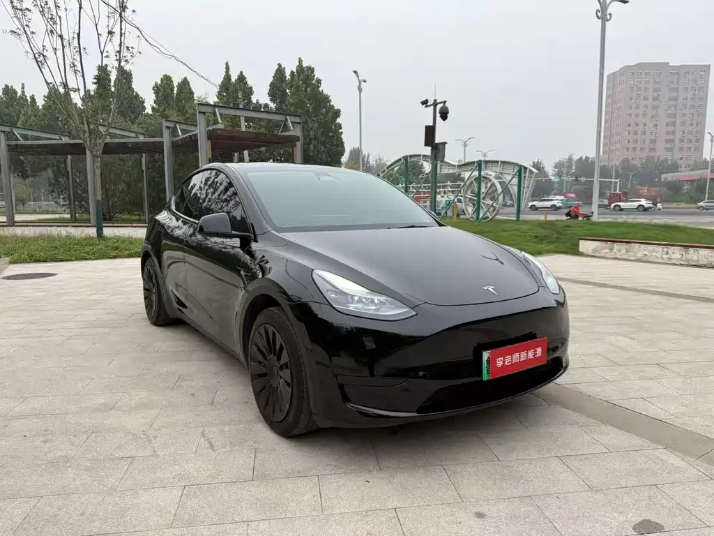Tesla Model Y — миниатюра 3