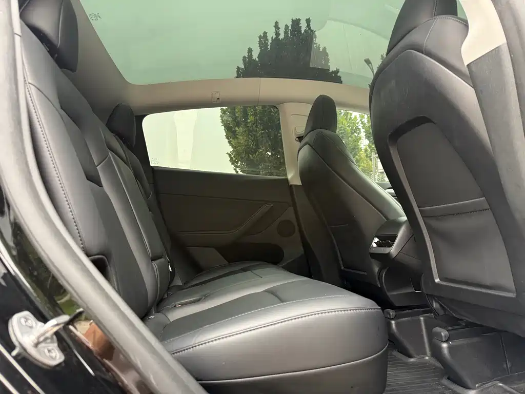 Tesla Model Y — миниатюра 12