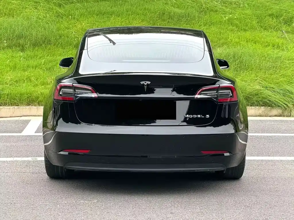 Tesla Model 3 — миниатюра 8