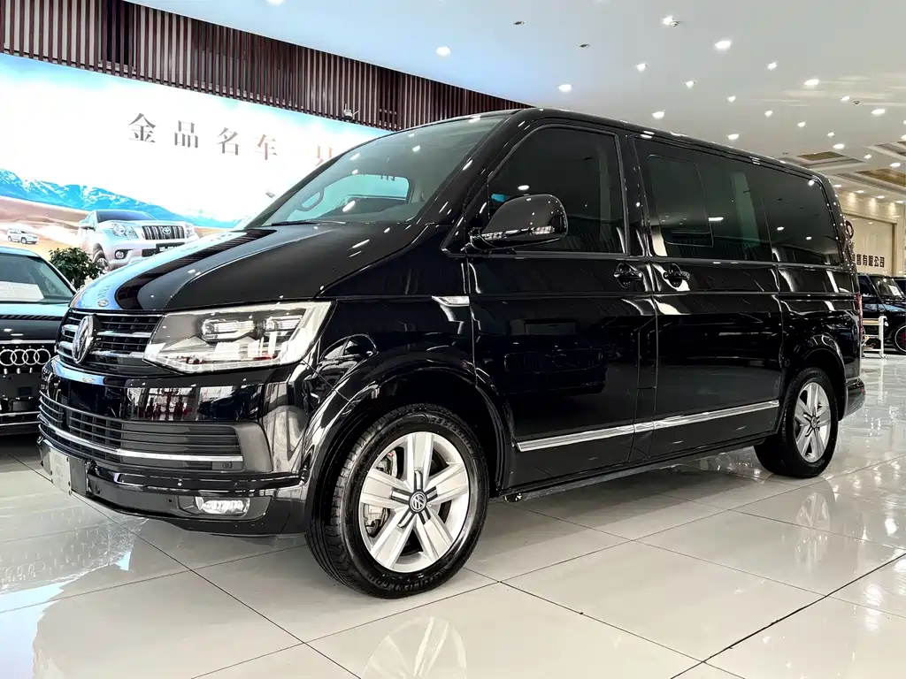 Volkswagen Multivan — миниатюра 2