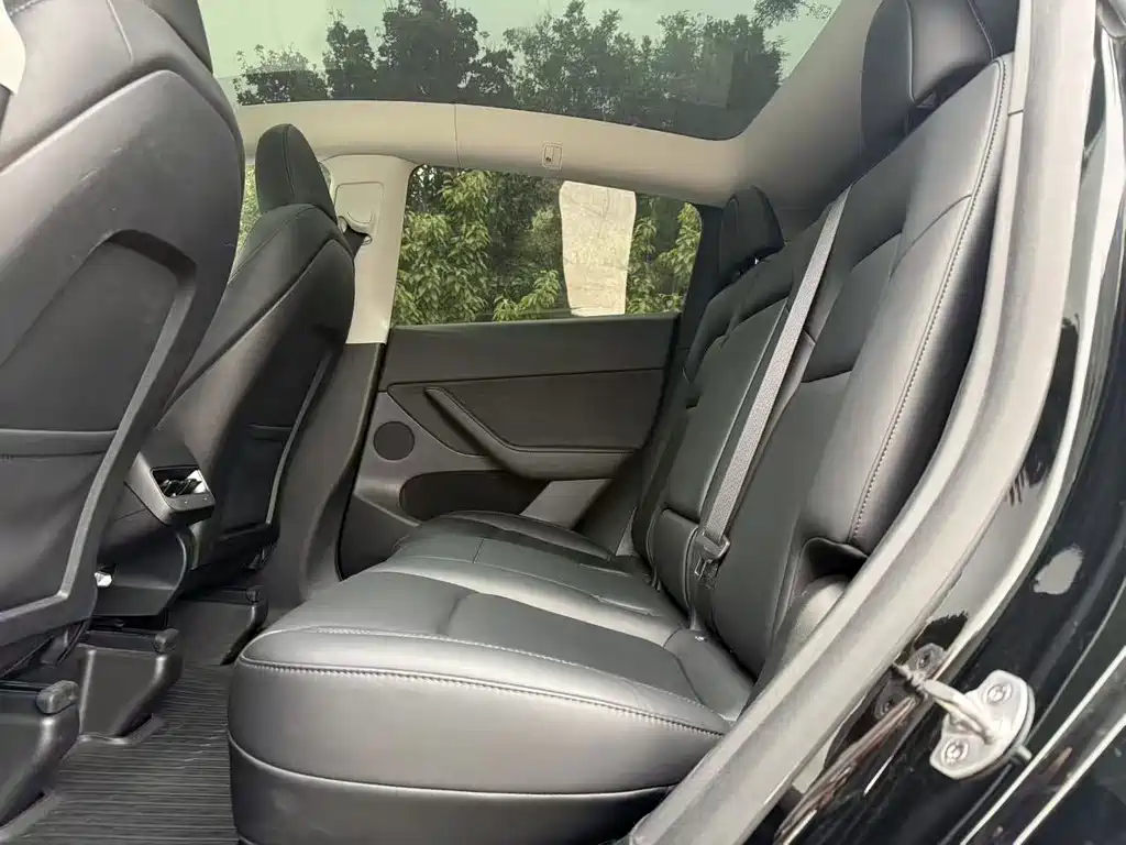 Tesla Model Y — миниатюра 13