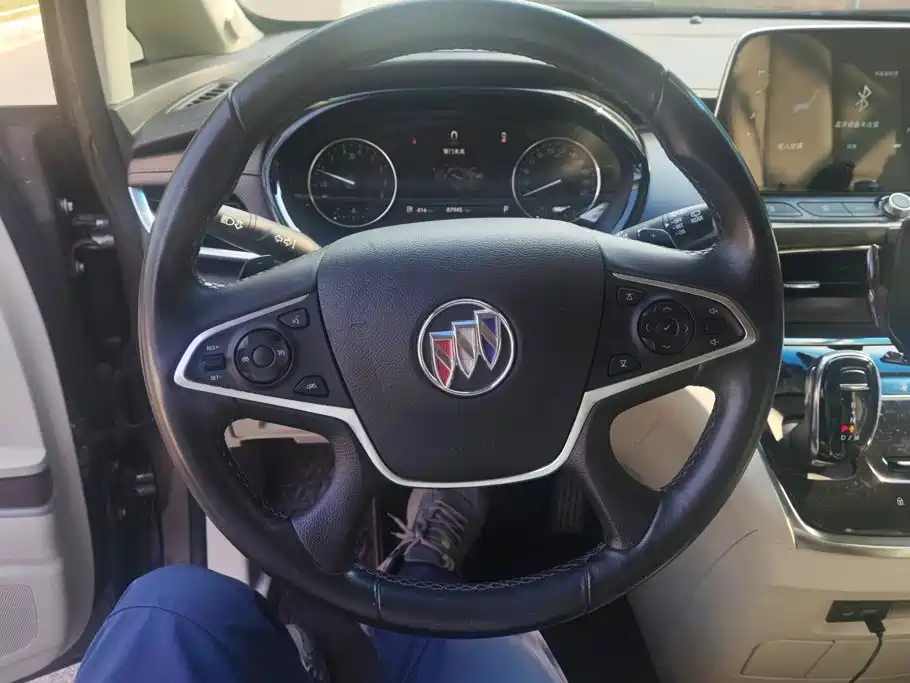 Buick GL8 — миниатюра 15