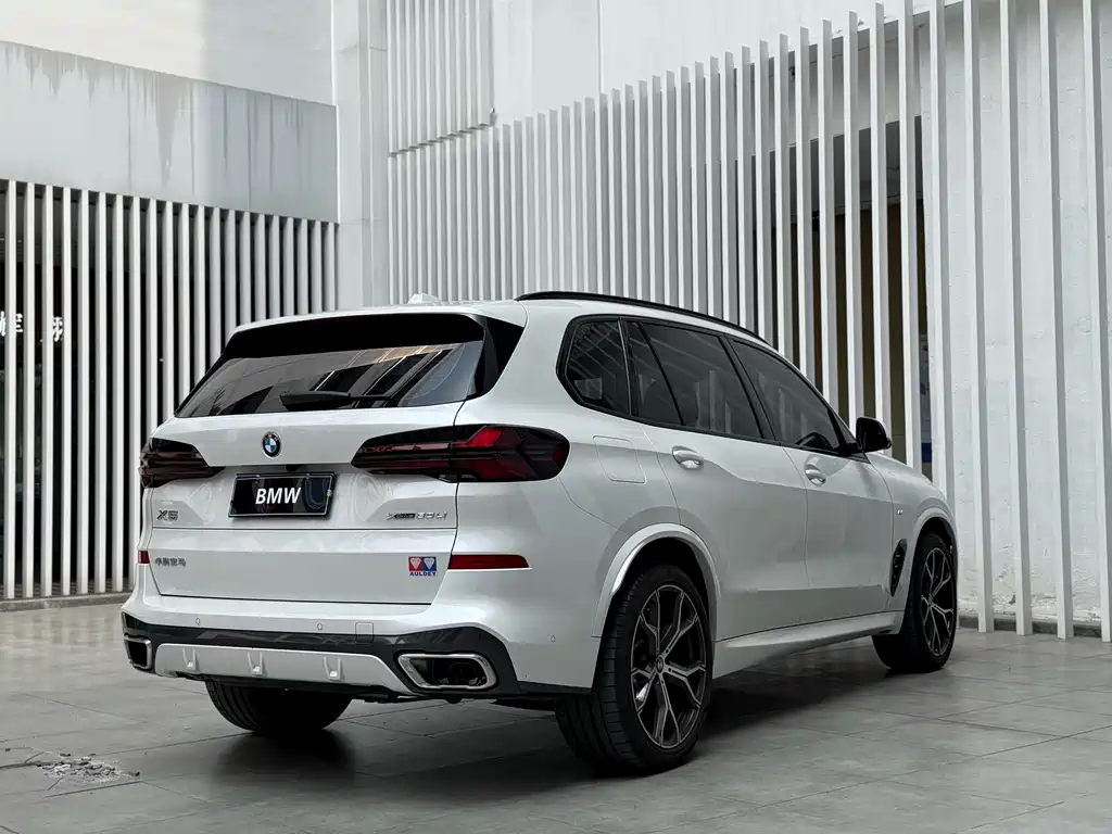 BMW X5 — миниатюра 12
